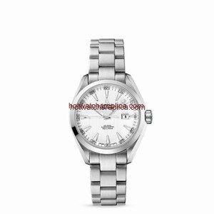 Omega Seamaster Aqua Terra 150M Co-Axial 34mm Silver (231.10.34.20.04.001)