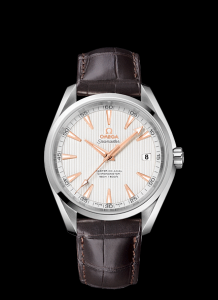 Omega Seamaster Aqua Terra 150m Master Co-Axial 41.5mm Silver (231.13.42.21.02.003)