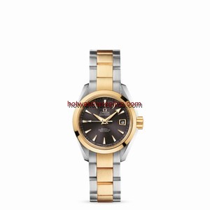 Omega Seamaster Aqua Terra 150M Co-Axial 30mm Two Tone Yellow / Grey (231.20.30.20.06.002)