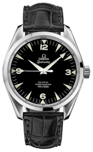 Omega Seamaster Aqua Terra Railmaster (2802.52.31)