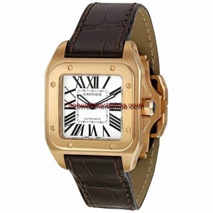 Cartier Santos de Cartier W20108Y1