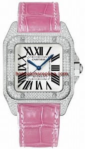 Cartier Santos de Cartier WM501751