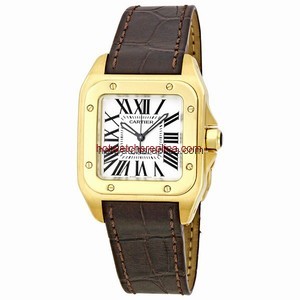 Cartier Santos de Cartier W20112Y1
