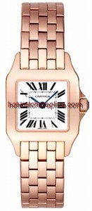 Cartier Santos de Cartier W25073X9