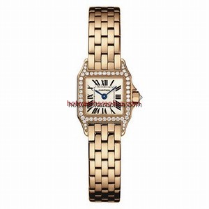 Cartier Santos de Cartier WF9011Z8