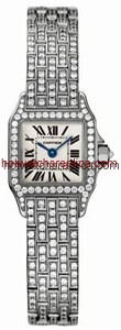 Cartier Santos de Cartier WF9005YA