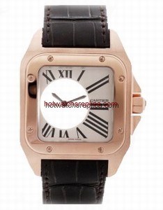 Cartier Santos de Cartier W20115Y1