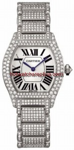 Cartier Tortue WA5049MC
