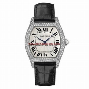 Cartier Tortue WA503851
