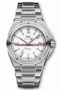 IWC Ingenieur Automatic Silver (IW3239-04)