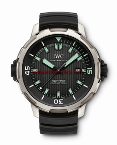 IWC Aquatimer Automatic 2000 (IW3580-02)