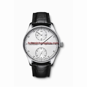 IWC Portugieser Regulateur Platinum (IW5444-03)