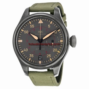 IWC Pilot's Watches IW501902