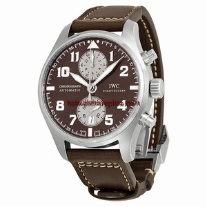 IWC Pilot's Watches IW387806