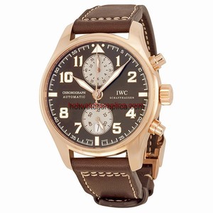 IWC Pilot's Watches IW387805