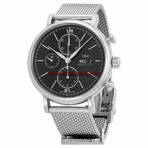 IWC Portofino IW391010