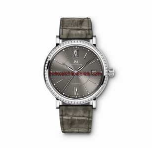 IWC Portofino IW458104