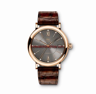 IWC Portofino IW458106