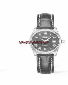 Longines Master Collection Date 29 Stainless Steel (L2.257.4.51.7)