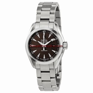 Omega Seamaster Aqua Terra 23110306006001
