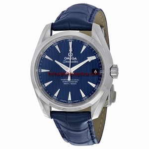 Omega Seamaster Aqua Terra 231.13.39.21.03.001