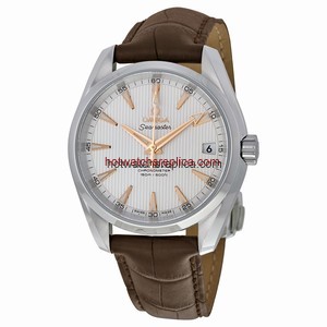 Omega Seamaster Aqua Terra 231.13.39.21.02.003