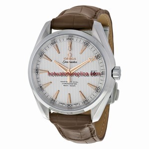Omega Seamaster Aqua Terra 231.13.42.21.02.003