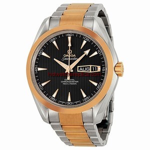Omega Seamaster Aqua Terra 231.20.43.22.06.001