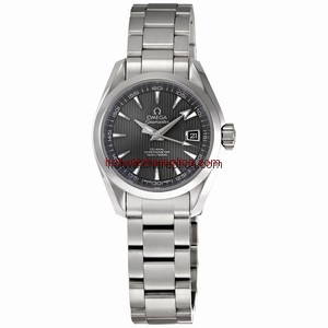 Omega Seamaster Aqua Terra 231.10.30.20.06.001