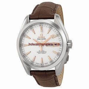 Omega Seamaster Aqua Terra 231.13.43.22.02.002
