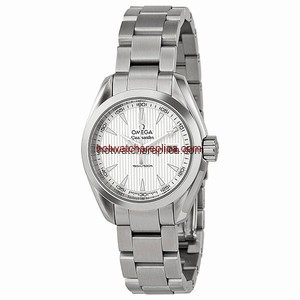 Omega Seamaster Aqua Terra 23110306002001