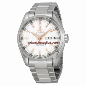Omega Seamaster Aqua Terra 231.10.39.22.02.001