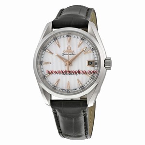Omega Seamaster Aqua Terra 231.13.39.21.02.002