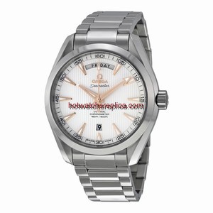 Omega Seamaster Aqua Terra 231.10.42.22.02.001