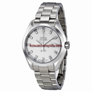Omega Seamaster Aqua Terra 231.10.34.20.55.001