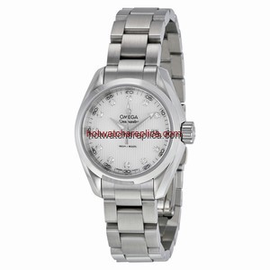 Omega Seamaster Aqua Terra 231.10.30.60.55.001