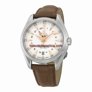 Omega Seamaster Aqua Terra 231.13.43.22.02.004