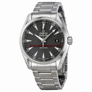 Omega Seamaster Aqua Terra 231.10.39.60.06.001