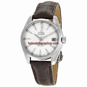 Omega Seamaster Aqua Terra 231.13.39.21.02.001