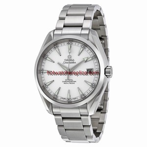 Omega Seamaster Aqua Terra 231.10.42.21.02.001