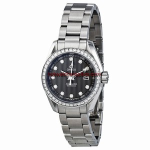 Omega Seamaster Aqua Terra 023115306156001