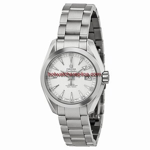 Omega Seamaster Aqua Terra 231.10.30.20.02.001