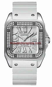 Cartier Santos de Cartier WM50460M