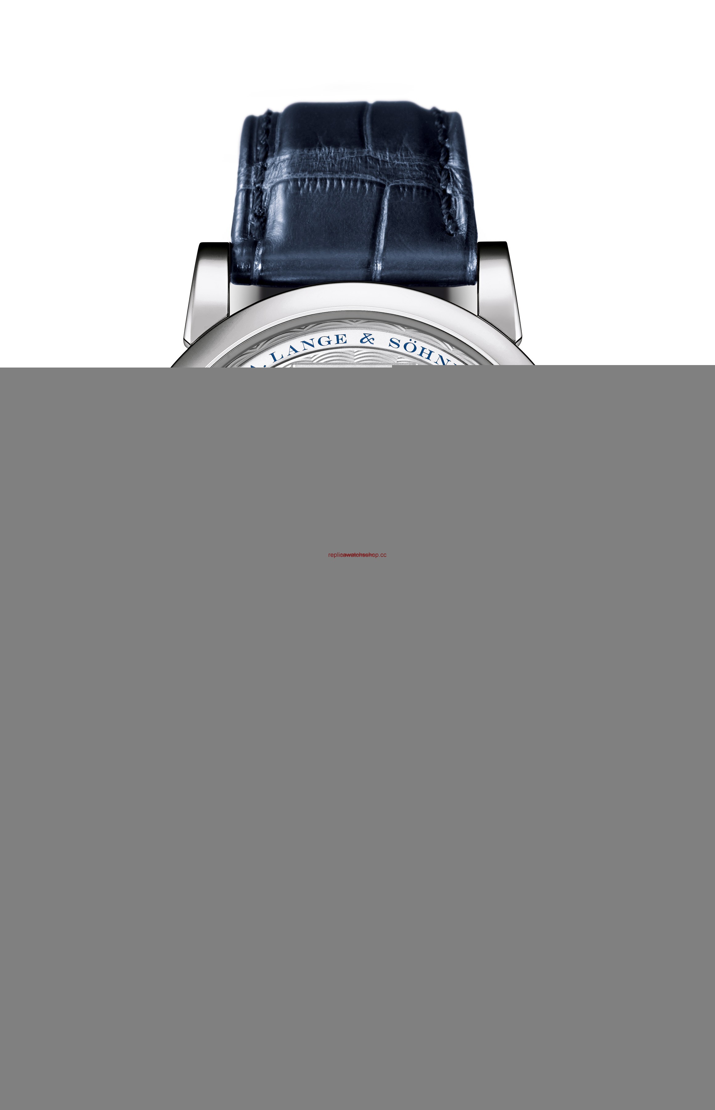A. Lange & Sohne Lange 1 20th Anniversary Platinum (101.061) A. Lange & Sohne Lange 1 20th Anniversary Platinum (101.061)