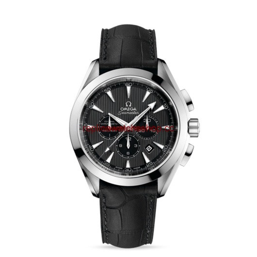 Omega Seamaster Aqua Terra 150M Chrono Co-Axial Grey / Alligator (231.13.44.50.06.001) Omega Seamaster Aqua Terra 150M Chrono Co-Axial Grey / Alligator (231.13.44.50.06.001)