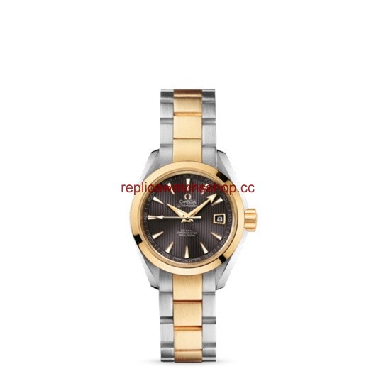 Omega Seamaster Aqua Terra 150M Co-Axial 30mm Two Tone Yellow / Grey (231.20.30.20.06.002) Omega Seamaster Aqua Terra 150M Co-Axial 30mm Two Tone Yellow / Grey (231.20.30.20.06.002)