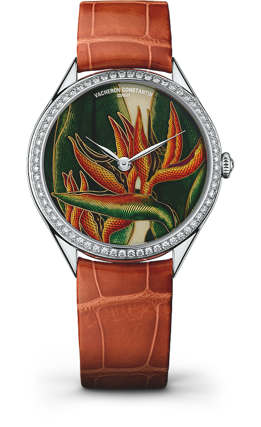 Vacheron Constantin Métiers d'Art Florilège Queen (82550/000G-9854) Vacheron Constantin Métiers d'Art Florilège Queen (82550/000G-9854)