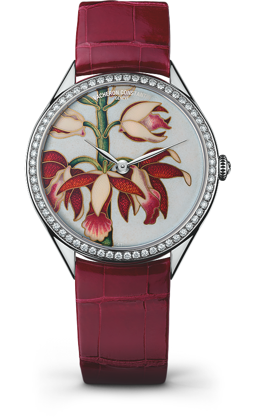 Vacheron Constantin Métiers d'Art Florilège China Limodoron ( 82550/000G-9855) Vacheron Constantin Métiers d'Art Florilège China Limodoron ( 82550/000G-9855)