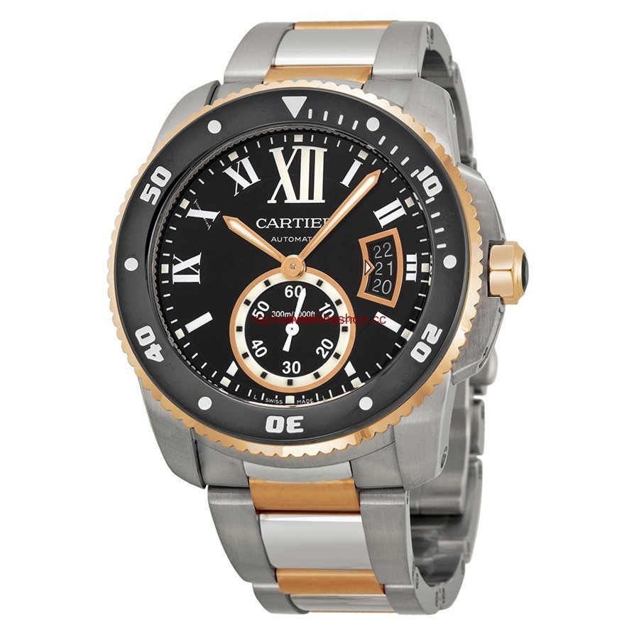 Cartier W7100054 Cartier W7100054