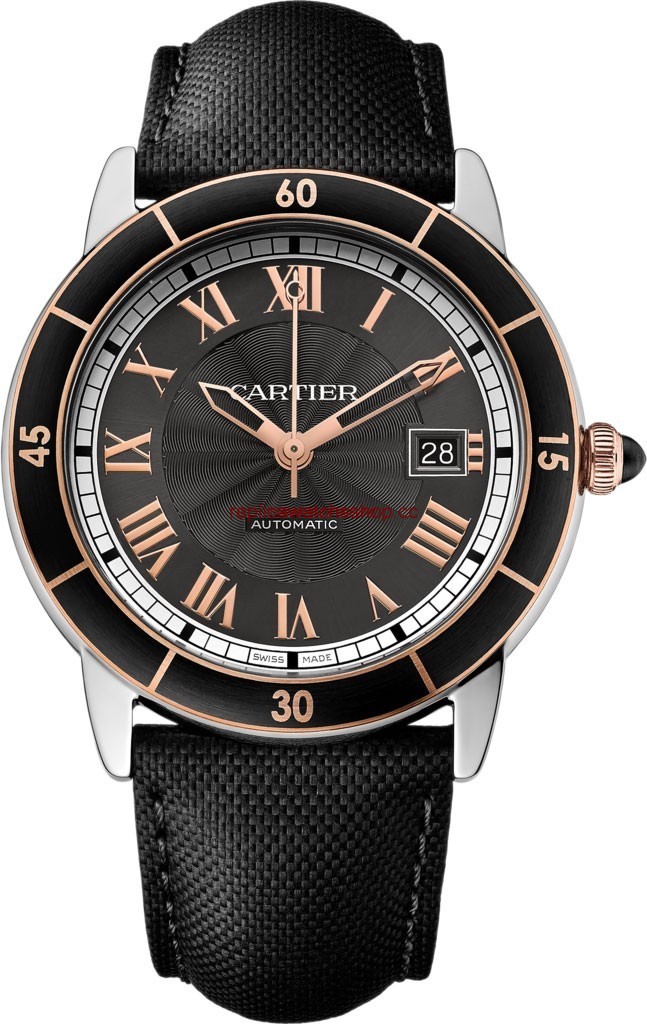 Cartier W2RN0005 Cartier W2RN0005